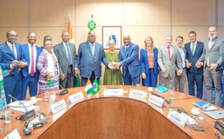 Restauration du couvert forestier : Laurent Tchagba scelle une coopération stratégique avec le Brésil pour l'agroforesterie en Côte d'Ivoire