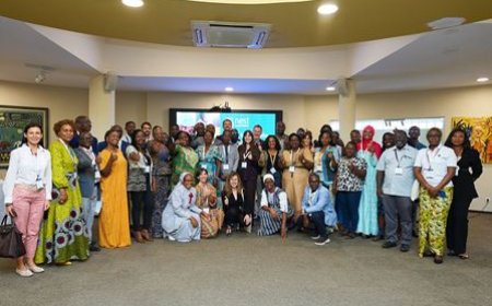 Santé maternelle et néonatale : Une vision partagée pour l'avenir