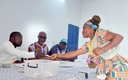 Le PPA-CI crée la Fédération Zabia dans le Gôh et élit son premier Fédéral