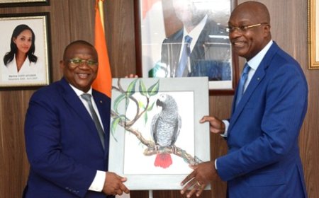 Télévision numérique terrestre (TNT) : Le Gabon mise sur l’expertise ivoirienne