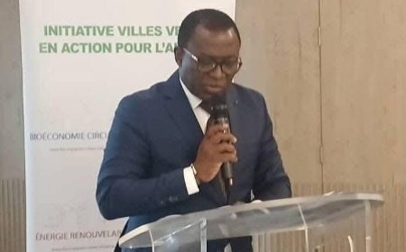 Abidjan accueille l’atelier technique du projet « Villes Vertes en Action pour l’Afrique »