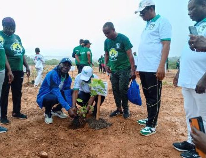 Séguéla célèbre la Journée Nationale de l’Arbre : Un arbre, un citoyen, un geste pour la paix
