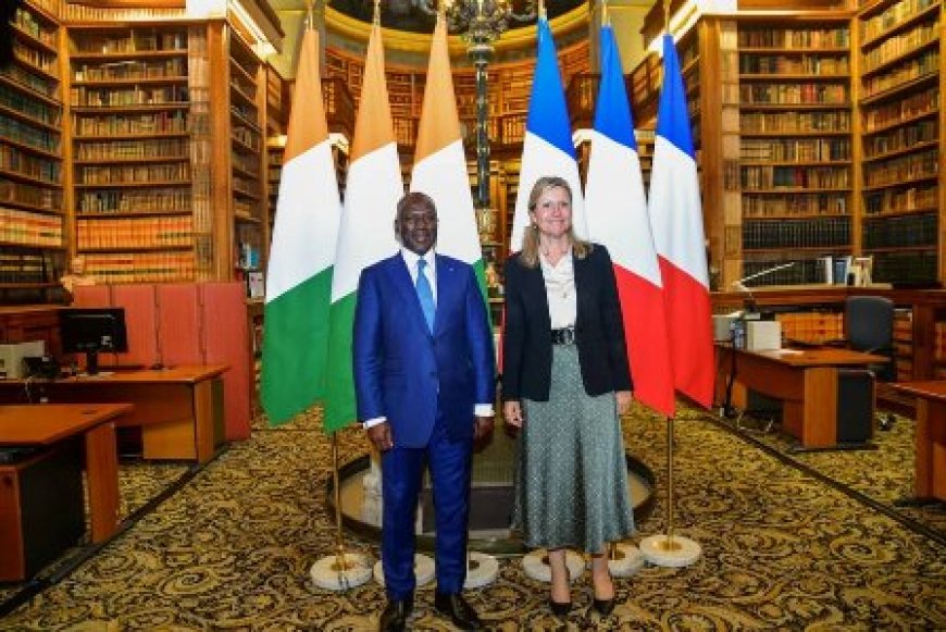 Restitution des biens culturels : L’Assemblée nationale française appelée à statuer après l’initiative du Président Bictogo