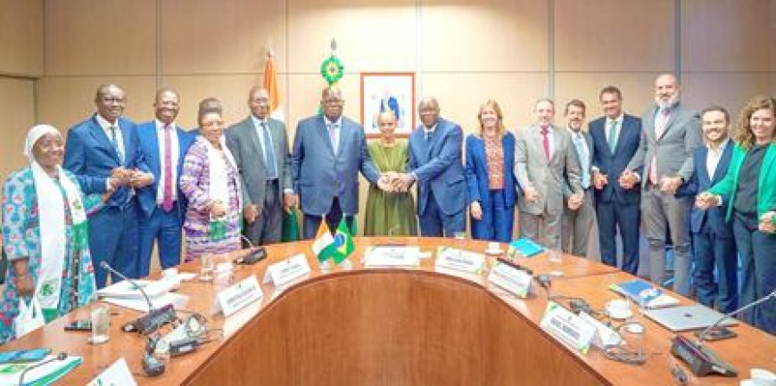 Restauration du couvert forestier : Laurent Tchagba scelle une coopération stratégique avec le Brésil pour l'agroforesterie en Côte d'Ivoire