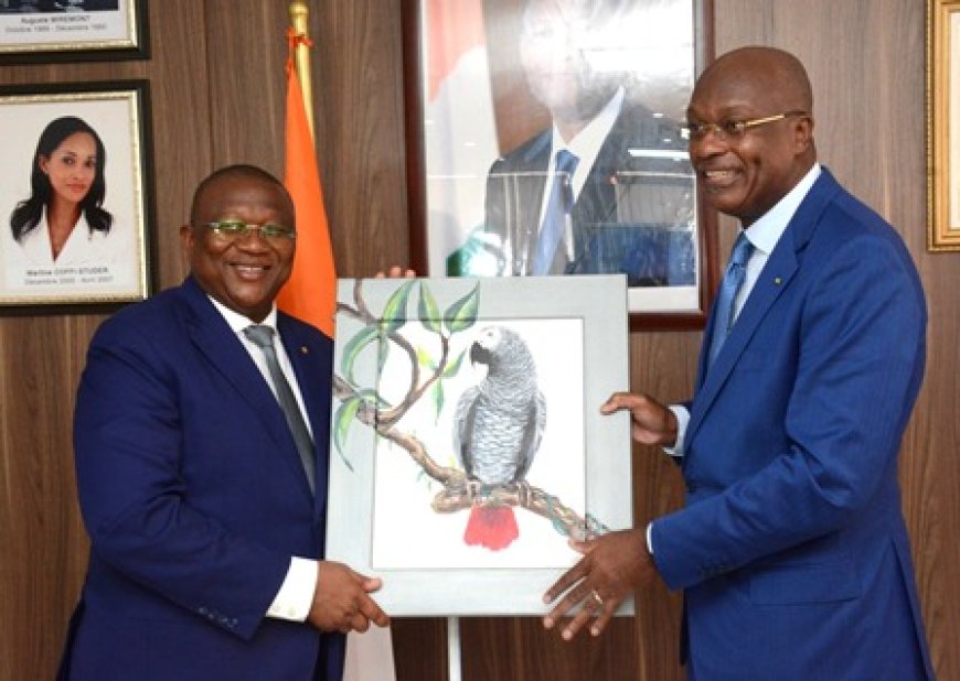 Télévision numérique terrestre (TNT) : Le Gabon mise sur l’expertise ivoirienne