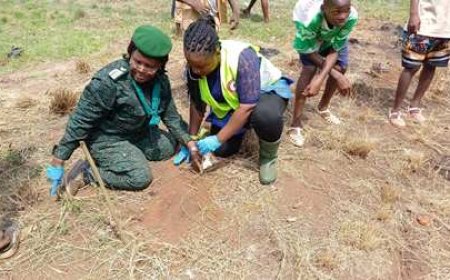 SOLIBRA s’engage pour la préservation des forêts avec le projet “Retrouvons nos forêts”