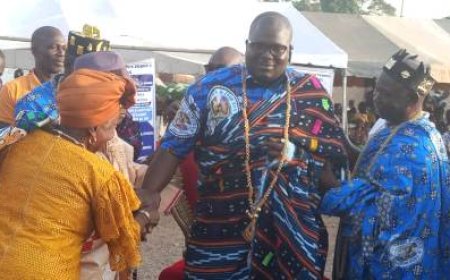 Bouaké : Le 2e président de la Mutuelle du village d’Oko Farhis investi