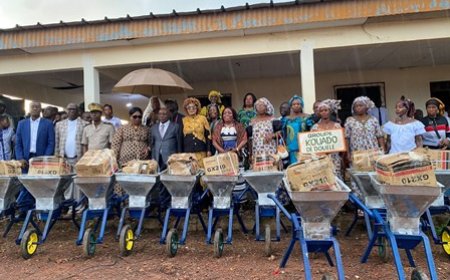 Logoualé / Lancement du projet “Manioc durable” : Plus de 3500 femmes vers la sortie de la précarité