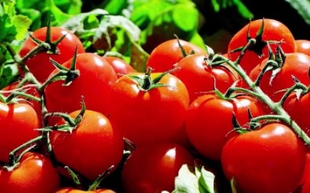 Le prix des tomates en hausse dans plusieurs villes