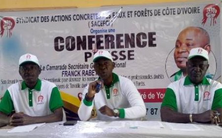 Le SACEFCI dénonce les injustices sociales et professionnelles dans le secteur des Eaux et Forêts