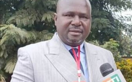 Élection à la présidence de la DIPA-CI : Fofana Boffra élu pour un mandat de 3 ans