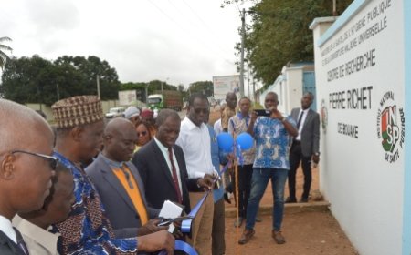 Bouaké: L’Union des journalistes et professionnels des médias s’engage pour le développement local