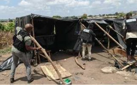 Lutte contre la drogue : La Police des Stupéfiants de Gagnoa Déploie une Vaste Opération Antidrogue à Ondiahio