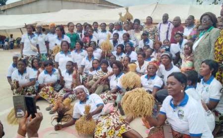 Développement agricole : La Coopérative Awalé du Gôh Célèbre la fête  "Riz Saca Lélé"
