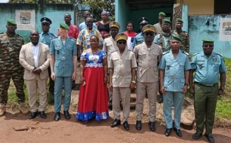 Sauvegarde du Mont Nimba : Un patrimoine en sursis, une responsabilité partagée