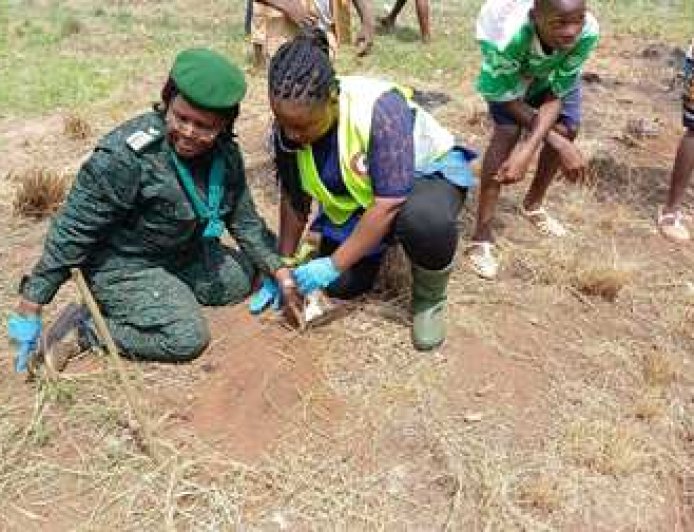 SOLIBRA s’engage pour la préservation des forêts avec le projet “Retrouvons nos forêts”