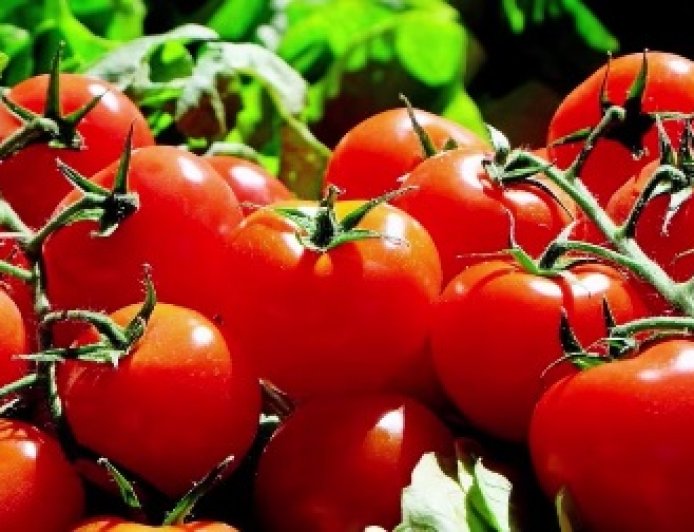 Le prix des tomates en hausse dans plusieurs villes