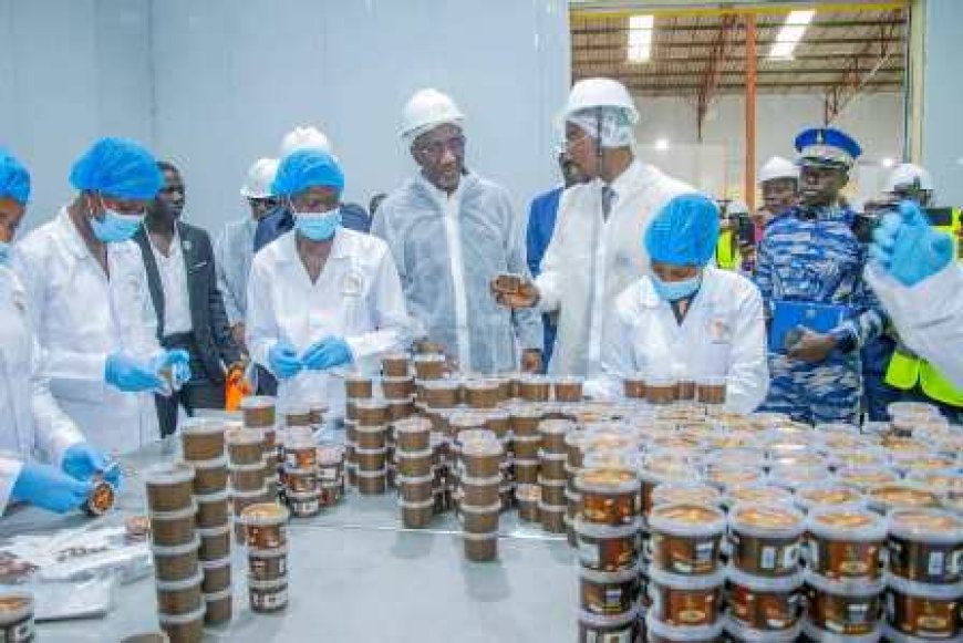 Divo : une usine de transformation de cacao de 32 milliards FCFA pour une économie locale dynamique