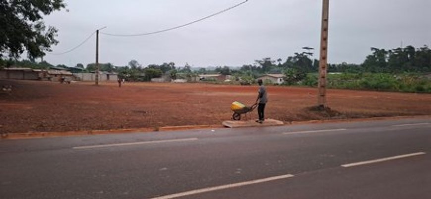 Sikensi : Le député-maire N'gata Brié Joseph aménage un espace pour les obsèques du pasteur