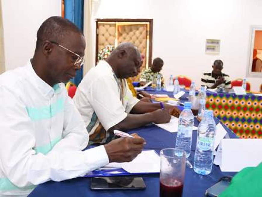 Les producteurs de cacao formés à Yamoussoukro pour une meilleure influence dans la gouvernance du secteur