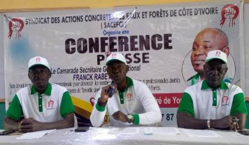 Le SACEFCI dénonce les injustices sociales et professionnelles dans le secteur des Eaux et Forêts