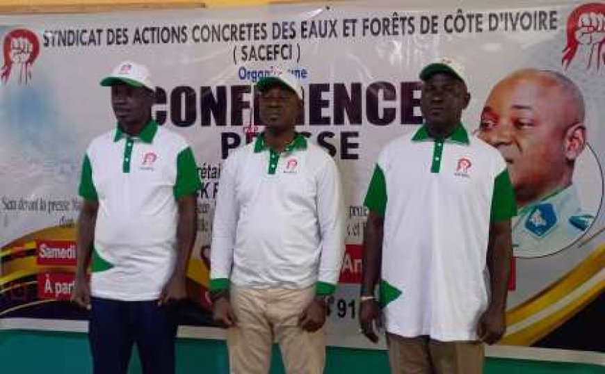 Le SACEFCI dénonce les injustices sociales et professionnelles dans le secteur des Eaux et Forêts