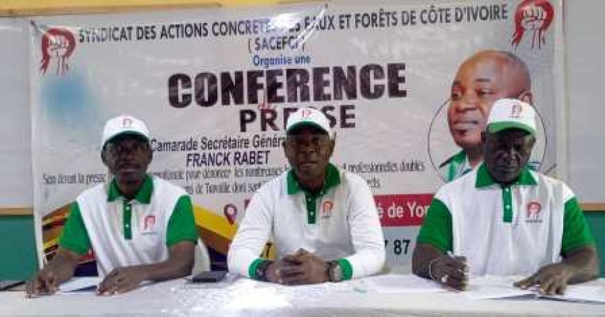 Le SACEFCI dénonce les injustices sociales et professionnelles dans le secteur des Eaux et Forêts