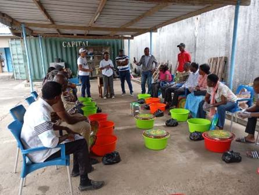 Filière des insectes comestibles: Un secteur en plein essor en Côte d’Ivoire