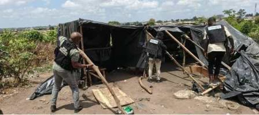 Lutte contre la drogue : La Police des Stupéfiants de Gagnoa Déploie une Vaste Opération Antidrogue à Ondiahio