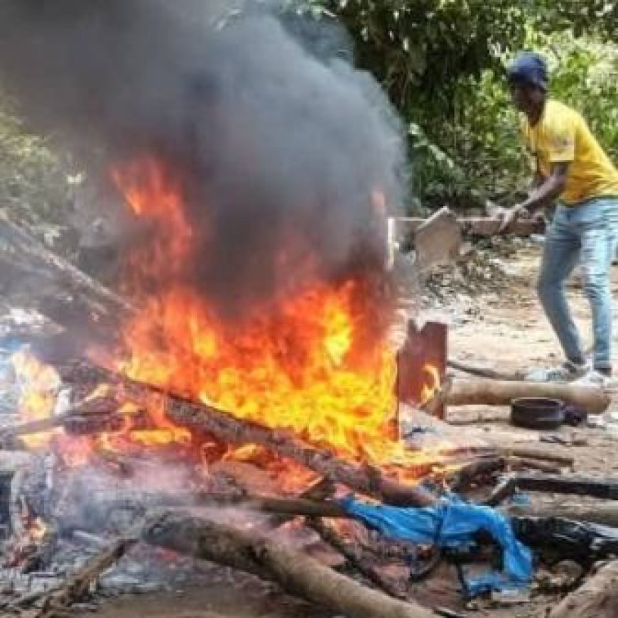 Lutte contre la drogue : La Police des Stupéfiants de Gagnoa Déploie une Vaste Opération Antidrogue à Ondiahio