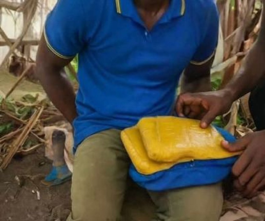 Lutte contre la drogue : La Police des Stupéfiants de Gagnoa Déploie une Vaste Opération Antidrogue à Ondiahio