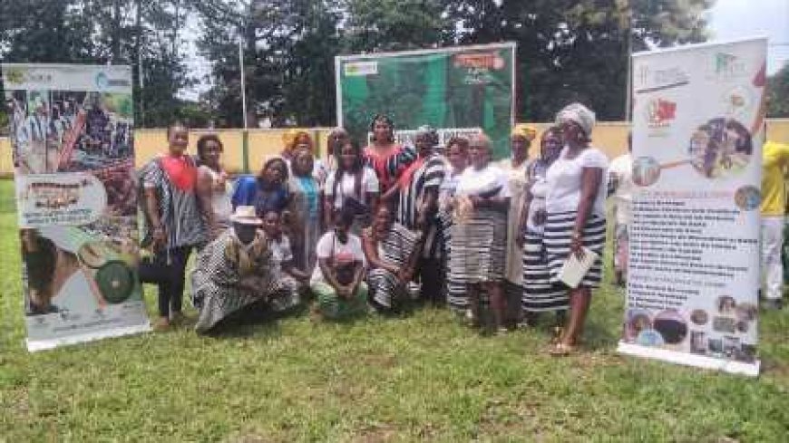 Korhogo : La jeunesse, fer de lance de la cohésion sociale lors d'un festival inédit