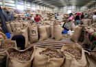 Bondoukou / Pôle agro-industriel du Nord-Est : un moteur pour l’économie locale