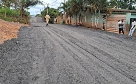 Sikensi / Travaux de voirie : Le député-maire N’gata Brié Joseph supervise la pose de fraisât en prélude à la fête des ignames