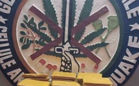 Bouaké : 66 blocs de cannabis saisis par la Gendarmerie nationale