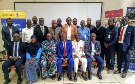Fixation de salaires adéquats : L'OIT réaffirme son soutien à la Côte d'Ivoire