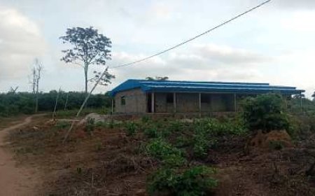 Baboué : Les fils et filles unis pour la construction d’un centre de santé rural