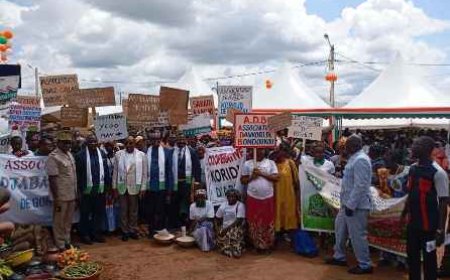 Agropole du Nord-Est : 283 milliards FCFA mobilisés pour transformer Bondoukou en hub agricole ivoirien