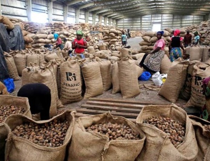 Bondoukou / Pôle agro-industriel du Nord-Est : un moteur pour l’économie locale