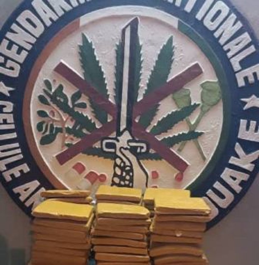 Bouaké : 66 blocs de cannabis saisis par la Gendarmerie nationale