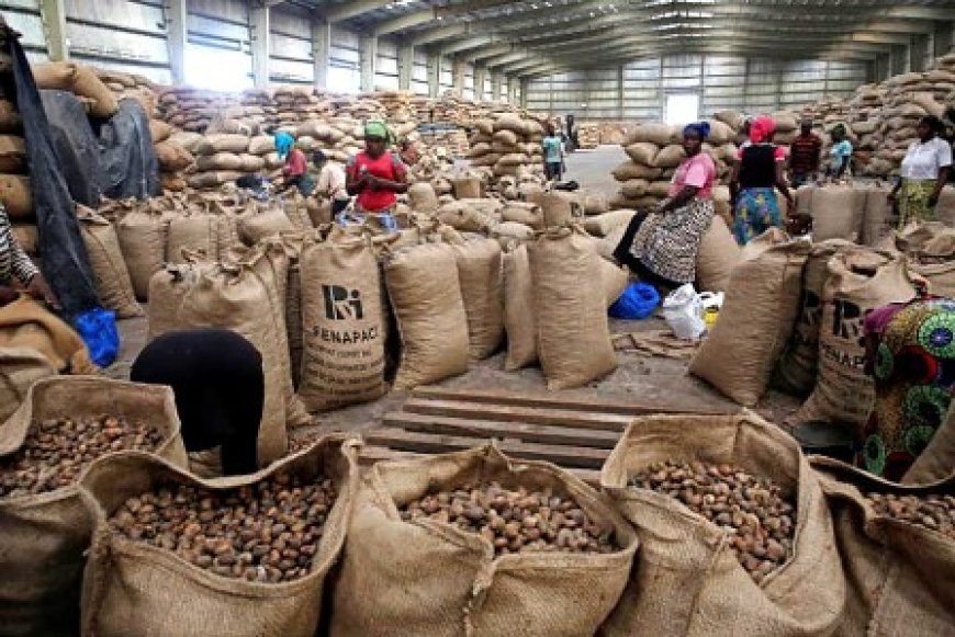 Bondoukou / Pôle agro-industriel du Nord-Est : un moteur pour l’économie locale