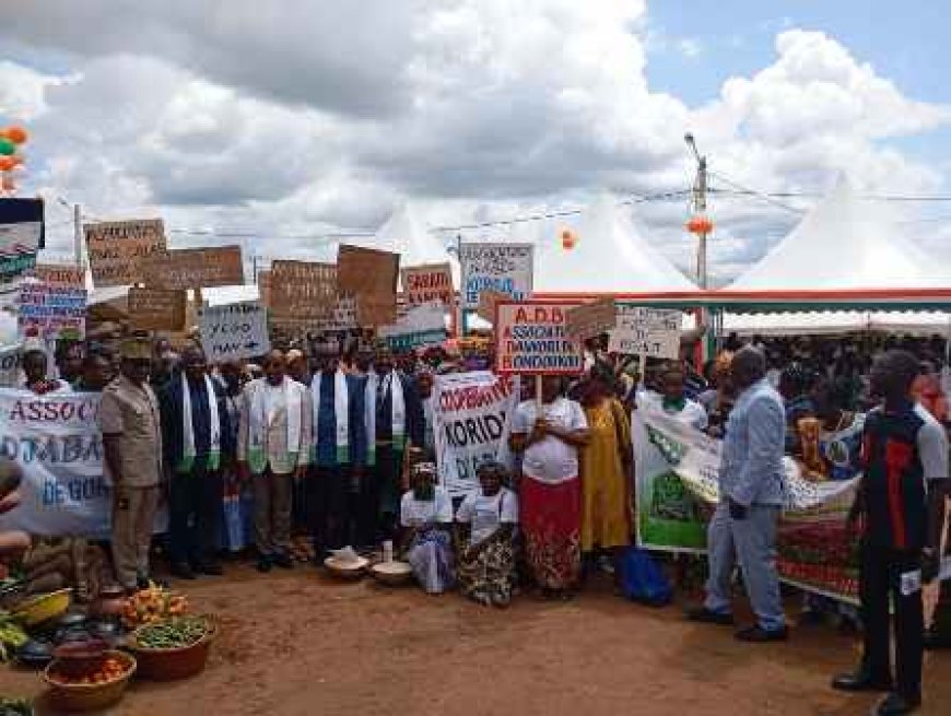 Agropole du Nord-Est : 283 milliards FCFA mobilisés pour transformer Bondoukou en hub agricole ivoirien