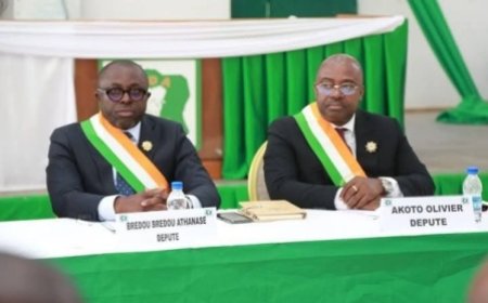 Ces jeunes loups du PDCI-RDA dans le viseur du régime?