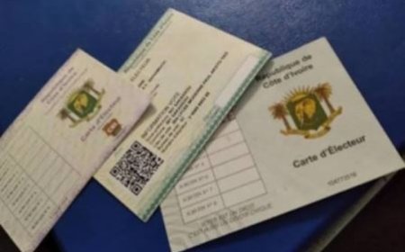 SINÉMATIALI : Le groupe scolaire Siné-centre va accueillir le lancement de la distribution des cartes d'électeurs