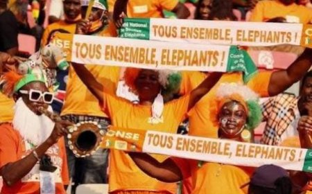 Dernier match de qualification de la Côte d’Ivoire au Mondial 2026 : Tous unis derrière nos éléphants !