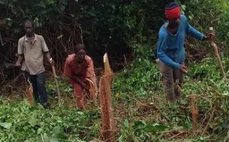 Solidarité et Santé : L’ONG ANVDM redonne vie au centre de santé urbain de Ouragahio
