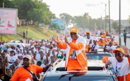 Présidentielle 2025 / Anyama : Amidou Sylla, le stratège du triomphe du RHDP