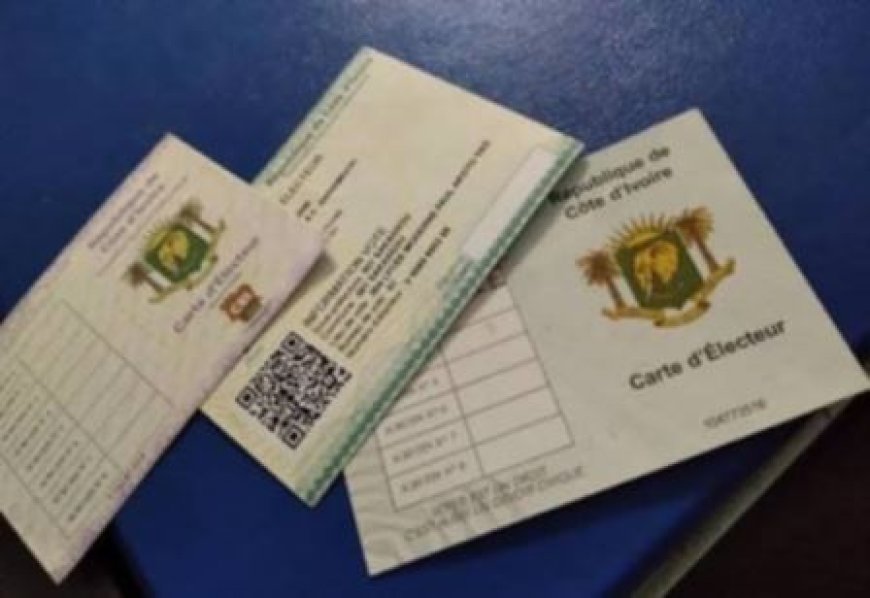 SINÉMATIALI : Le groupe scolaire Siné-centre va accueillir le lancement de la distribution des cartes d'électeurs