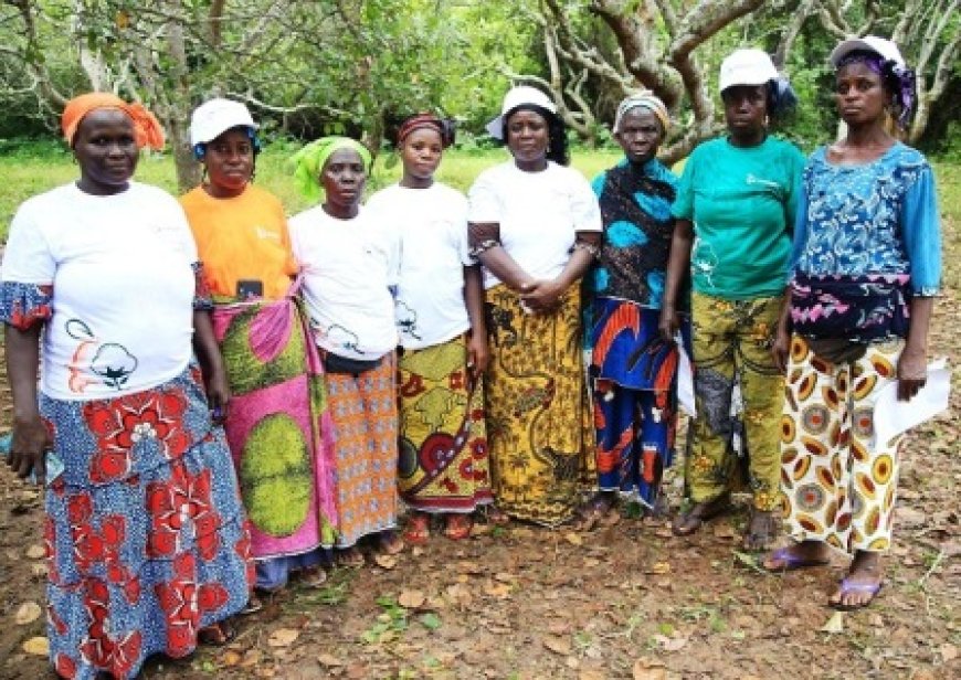 Korhogo / Élections 2025 : Les attentes des femmes envers le futur Président de la République