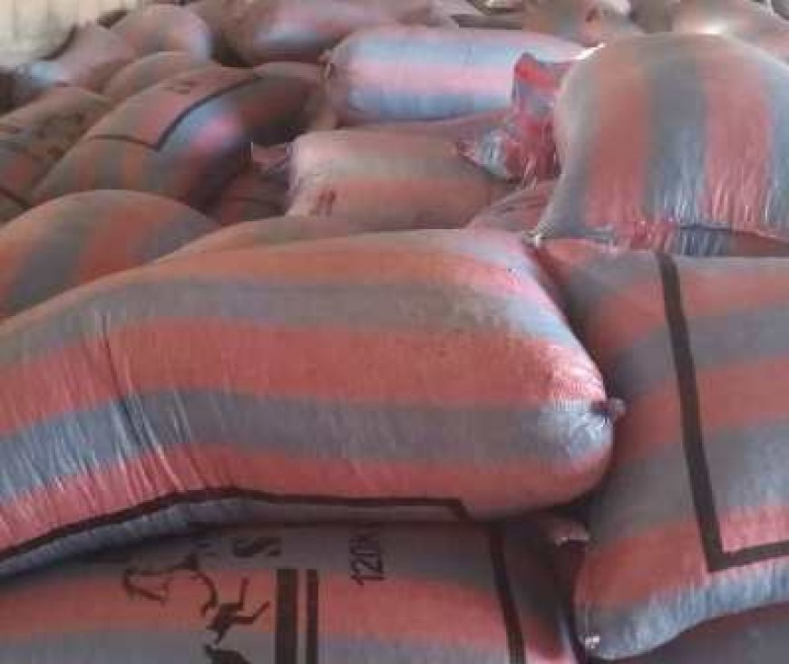 Soubré : Un prix du cacao attractif, mais des ventes au ralenti